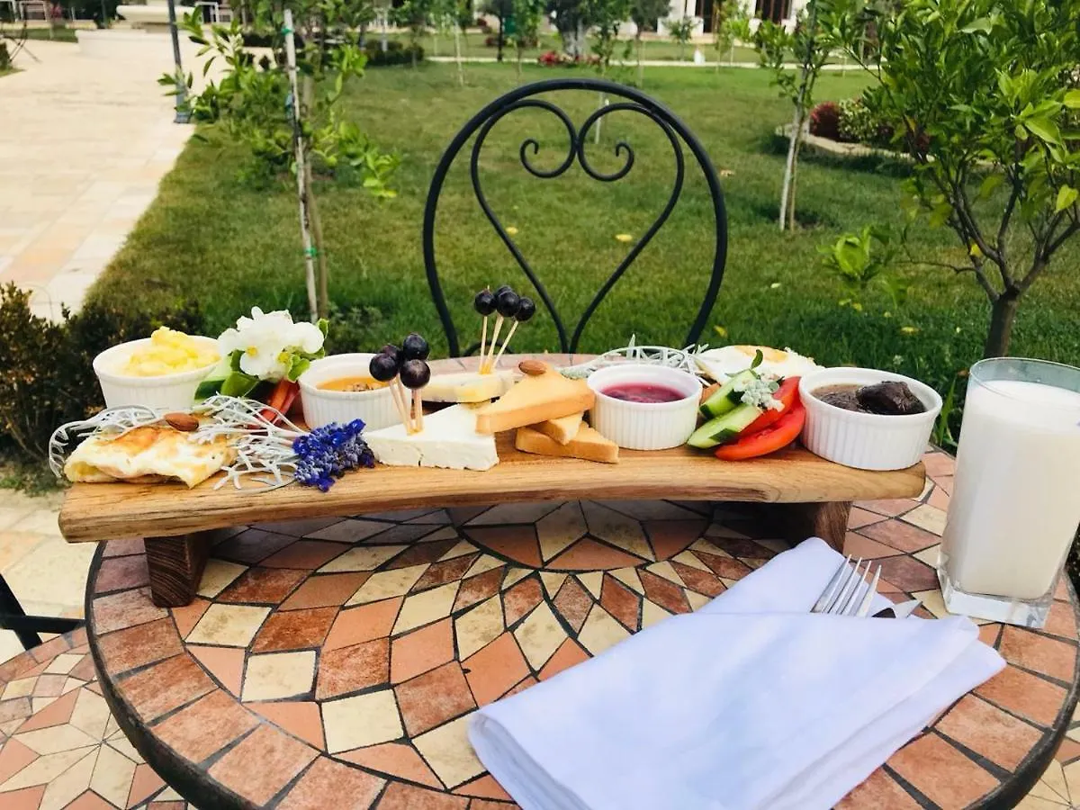 Отель Vinea Resort Arape-Rashbulli